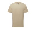 desert sand