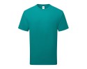 ocean teal