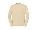 desert sand