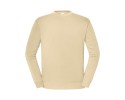 desert sand