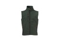 verde foresta