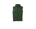 verde foresta