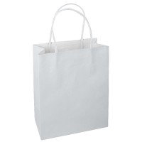 SHOPPER IN CARTA - KRAFT EX CODICE T5200 KG513