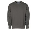 grigio smoke