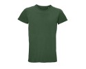 verde bottiglia