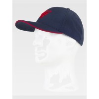 CAPPELLO VISIERA CURVA 6 PANNELLI LOGO WORKTEAM WFA943